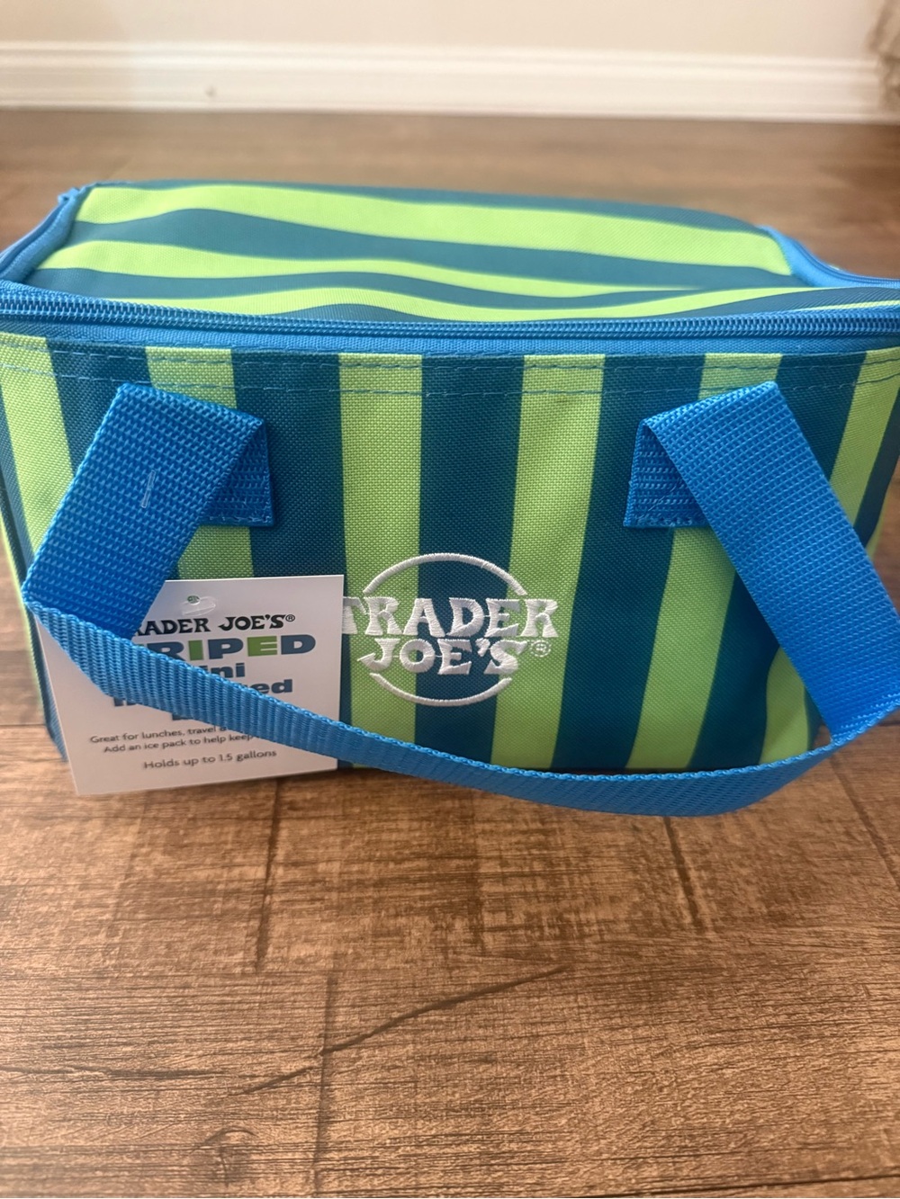 Trader Joe's Striped Mini Insulated Bag- Blue & Lime Green NWT
